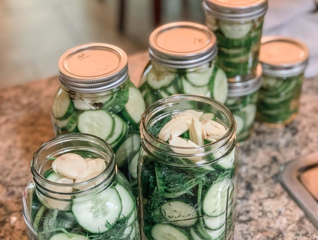 garlic in jars before adding brine for Homemade QUICK Refrigerator Pickles